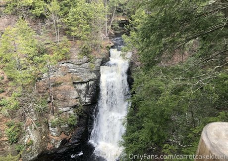 pov pussy onlyfans sex archive