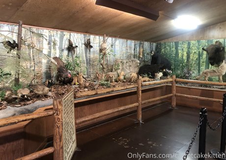 Carrotcakekitten art actress img