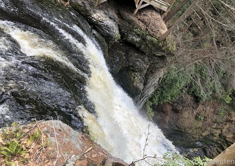 Carrotcakekitten model xxx photo