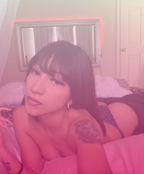 Stardustsvm erotic actress archive