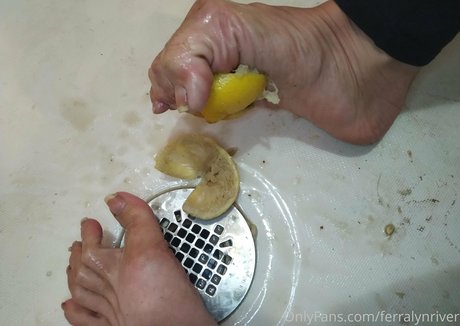 ferralynriver perfect star galleries