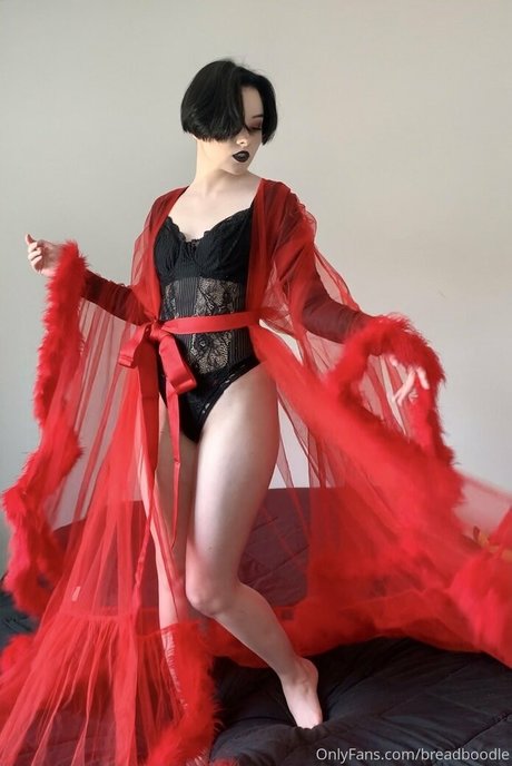 Breadboodle erotic pornstar archive