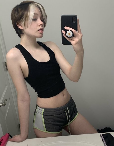 Breadboodle high quality star archive