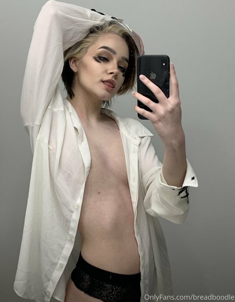 Breadboodle art star images