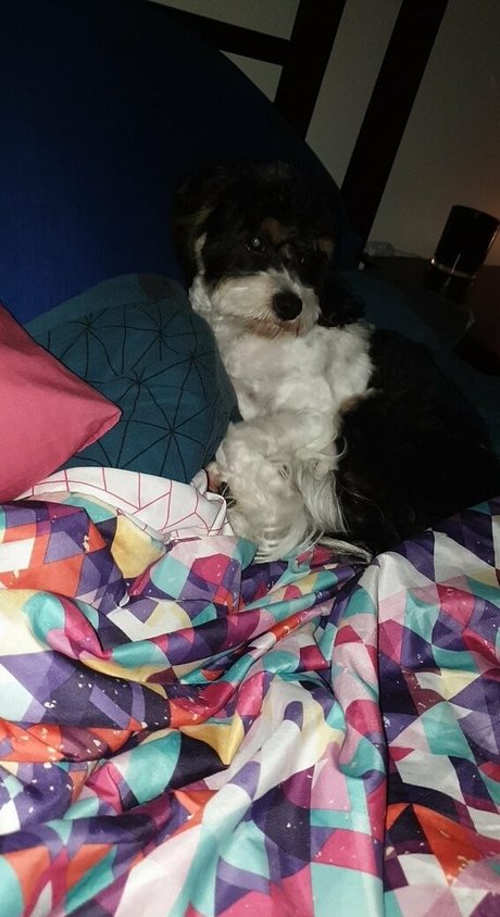 hot milf onlyfans sexy nudes picture