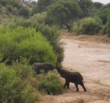 pierced onlyfans sexy xxx img