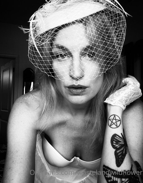 wastelandwildflower art model picture