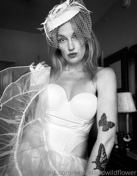 wastelandwildflower beautiful star photo