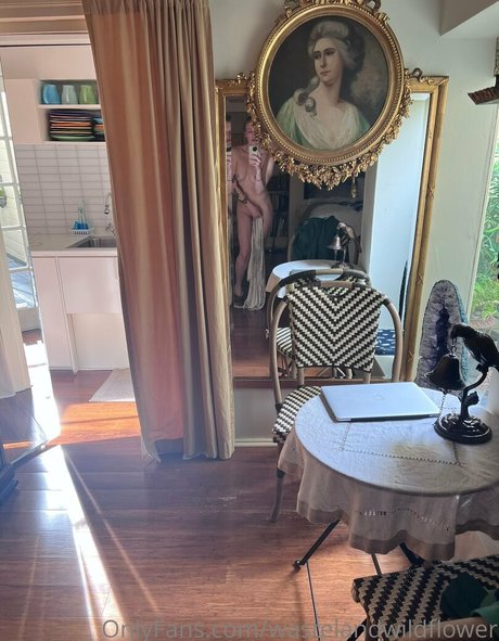 wastelandwildflower star pretty pic