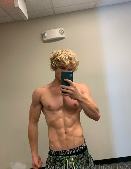 sunshynefree art star galleries