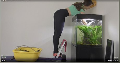 misaonair model adult gallery