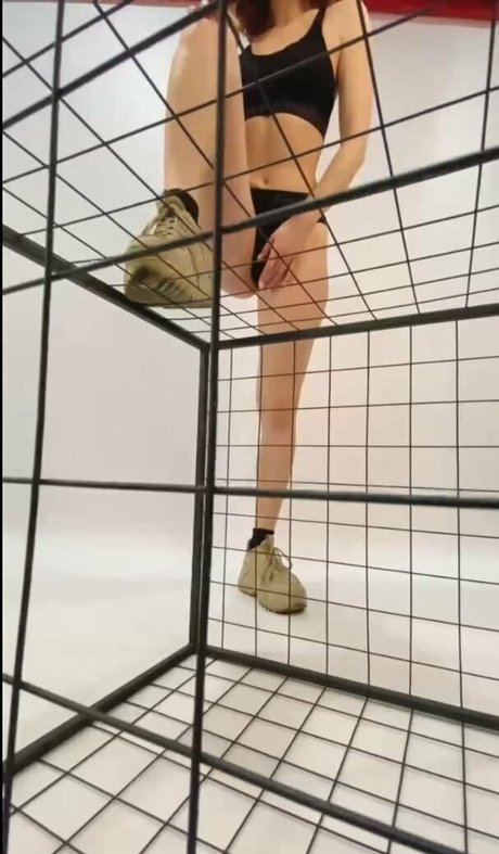 evaholiday pornstar free pictures