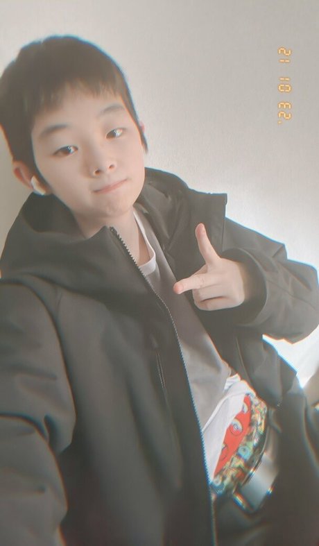 _Tigris tora_ high quality actress image