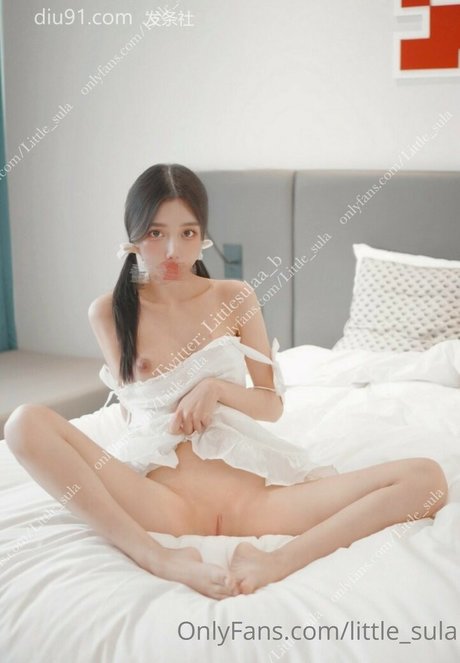 Little sula best model image