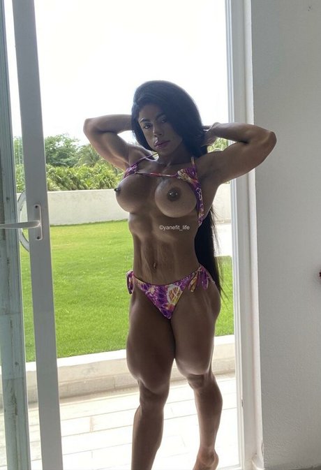 Yanet model pretty archive