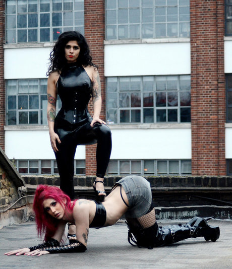 tiffanytowers8 high quality star images