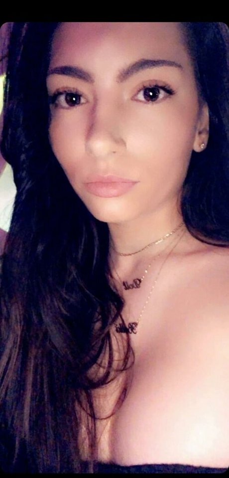 Bella s Toy Chest profile image