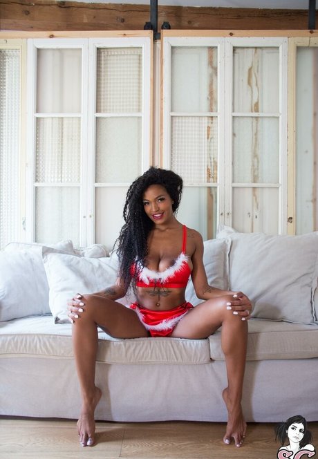 Tina Fire top star image