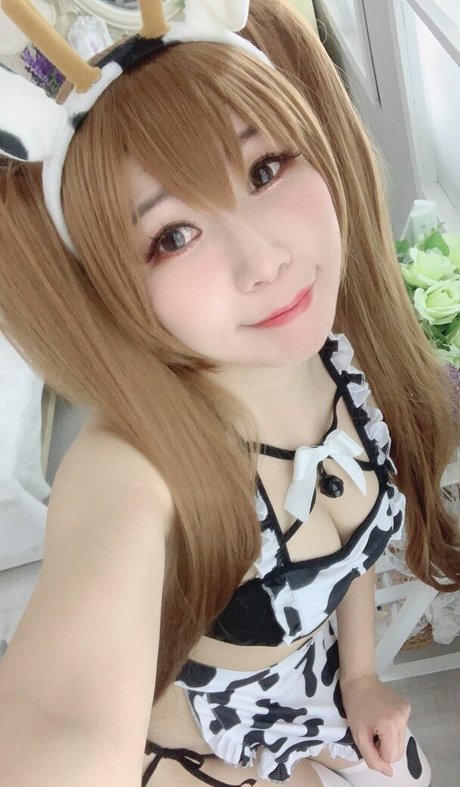 Akicoser model art pic