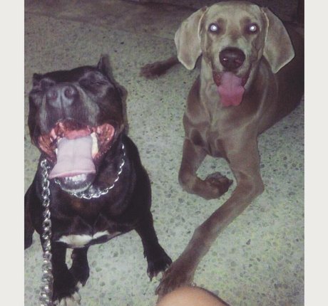 lamartinezruiz star xxx archive