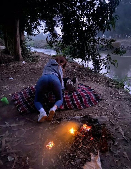 illtamy high quality star galleries