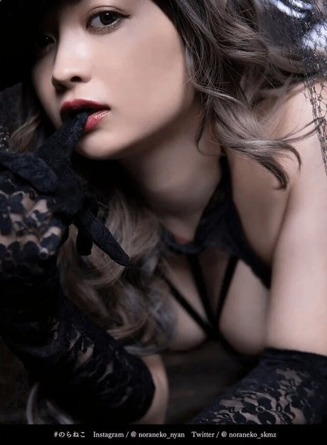 Noraneko star xxx galleries