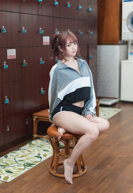 Noraneko hd model archive