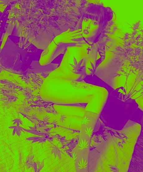 Taylor Evanchak top actress image