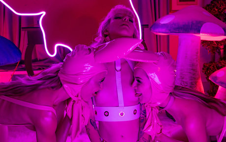 Demon Poptart perfect pornstar pictures