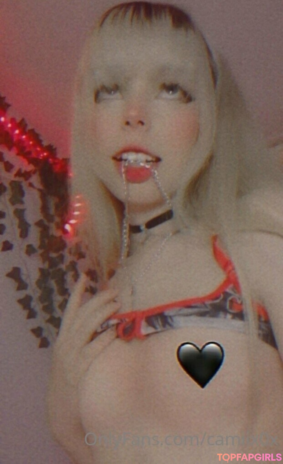 camiix08 model top pic
