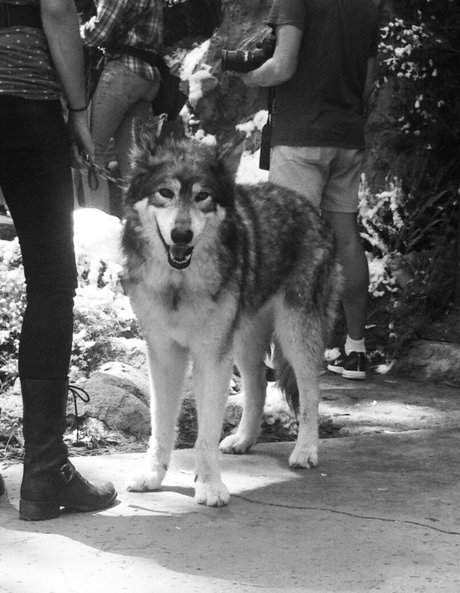 Roos Van Montfort sexy model pics