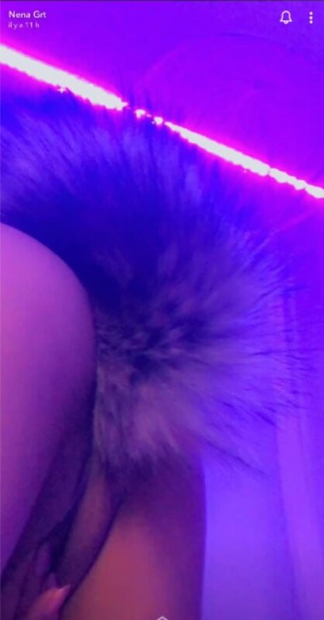 chewwy vanilla star perfect pics