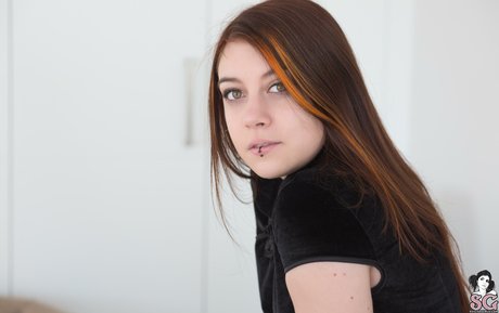 GateteFloyd free pornstar gallery