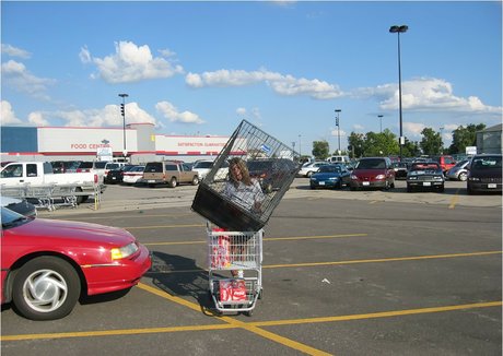 PrincessBlueyez model nudes galleries