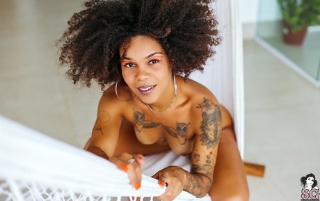 sasaricando art star gallery