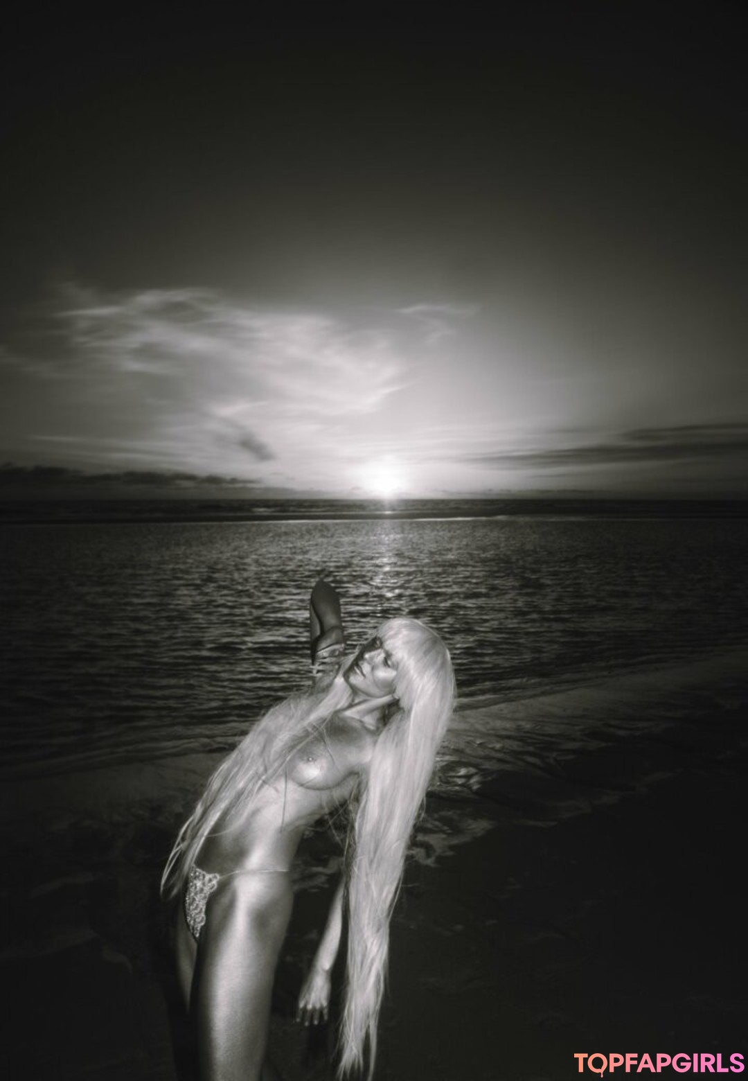 Ana Sophie Rose art star archive