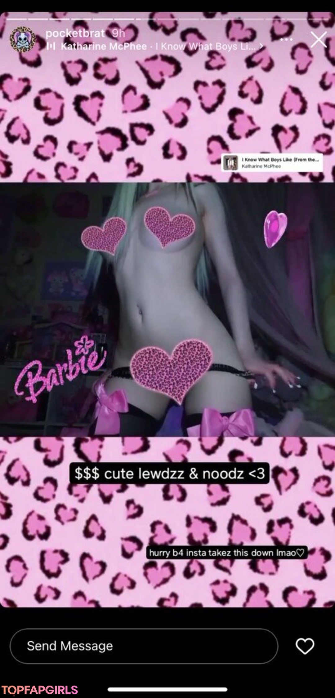 pocketbrat model best pics