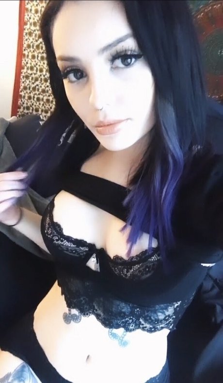 Witchfern star free image