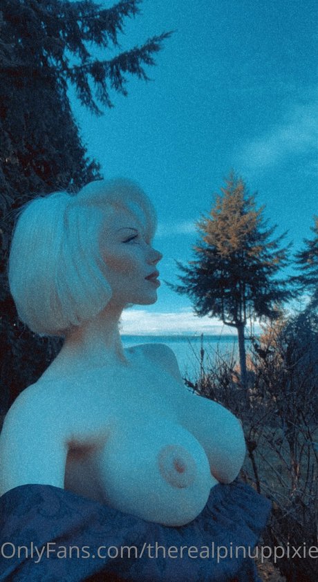 Pinup pixie star erotic gallery