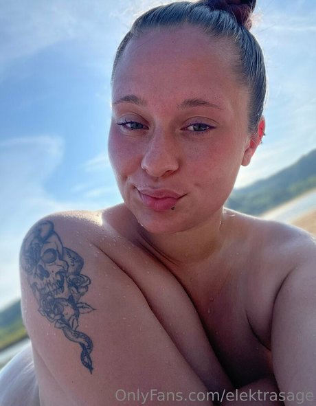 Sage Lux Sagelux model free img