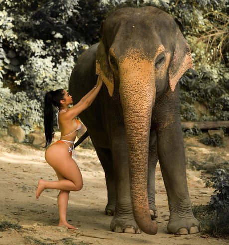 lesbians onlyfans free photos