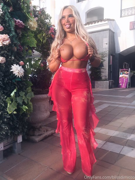 Bliss Dimicco_ model art gallery