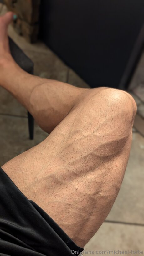 Michael Forte model free galleries