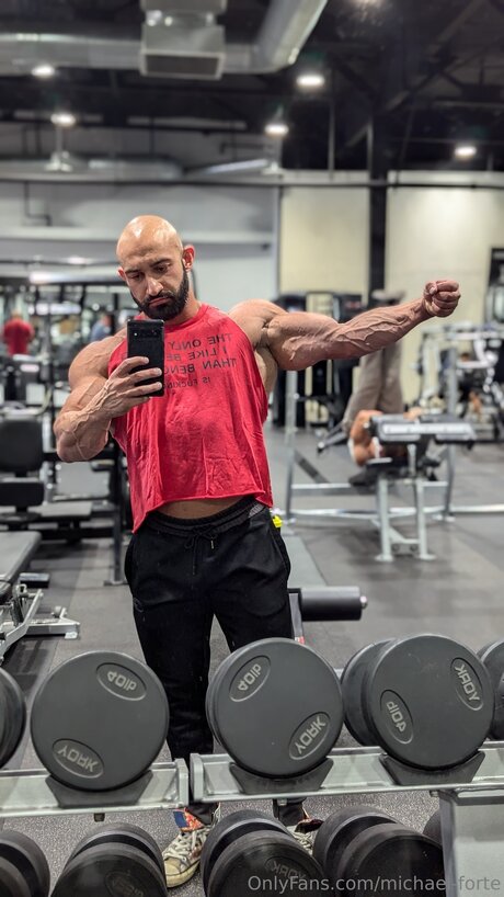 Michael Forte hot star images