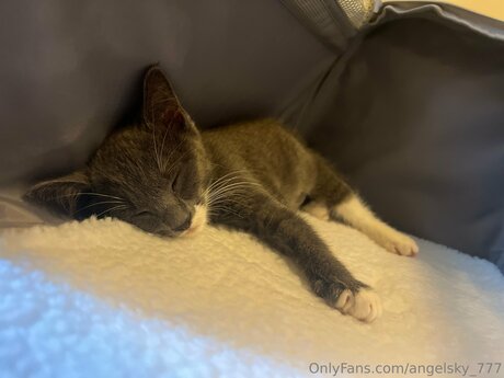 teen feet onlyfans hot nude gallery