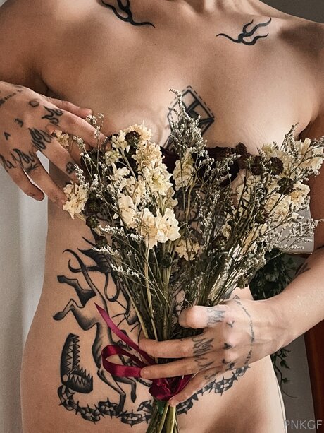 Pnkgf star erotic galleries