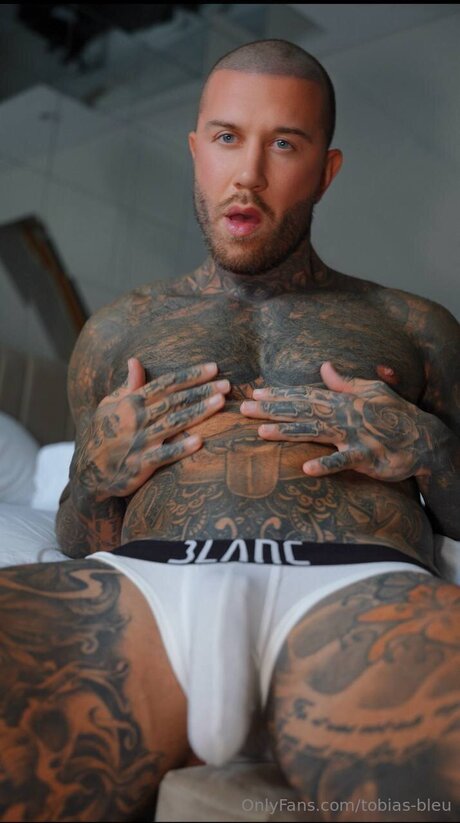 Tobias Bleu pornstar high quality image