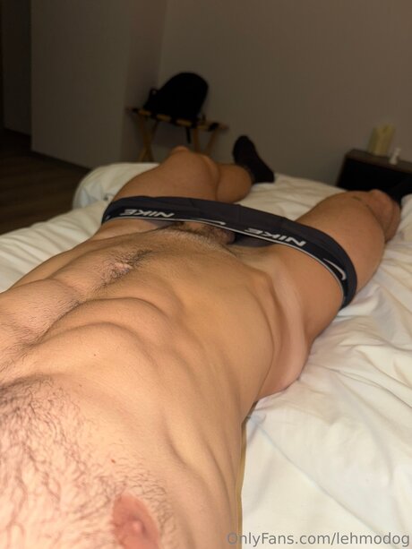 Lehmodog pornstar high quality picture