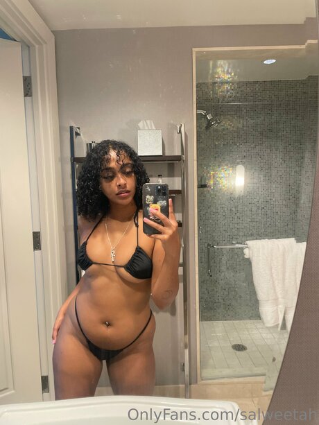 Salweetah pornstar art pic