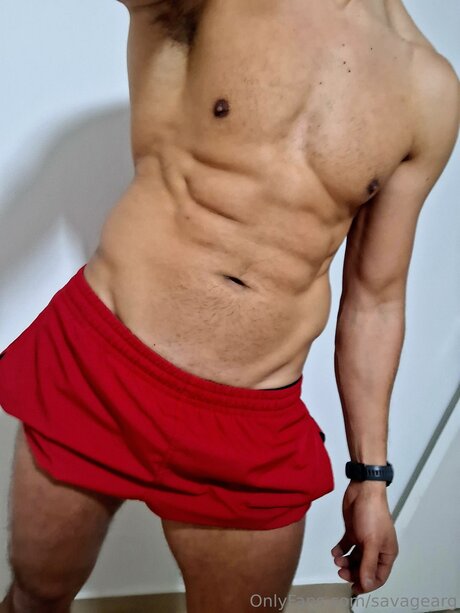 Savagearg art star images